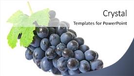  Presentation with water drops - Slides having grapes with water drops background and a white colored foreground