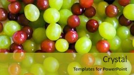  Presentation with grape vine black grapes - Audience pleasing slide set consisting of grapes backdrop and a gold colored foreground