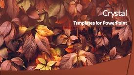  Presentation with virginia - PPT theme featuring grapevine - colorful autumn virginia creeper wild background and a tawny brown colored foreground