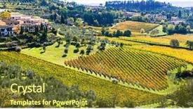  Presentation with grapevine - Audience pleasing slides consisting of grapevine - traditional rural landscapes and villages backdrop and a tawny brown colored foreground