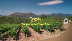  Presentation with vineyard - Slide deck consisting of grapevine - white cloud over vineyard background and a tawny brown colored foreground