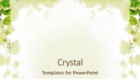  Presentation with grapevine - Slides enhanced with grapevine background design background and a cream colored foreground