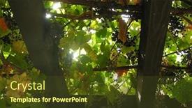  Presentation with mission - Colorful presentation theme enhanced with grapevines-on-a-trellis backdrop and a tawny brown colored foreground
