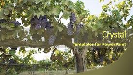  Presentation with grapevine - PPT theme having sound control panel - soundmixer in the nightclub background and a light blue colored foreground