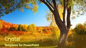  Presentation with autumn blue - Slide deck enhanced with grass and big autumn tree background and a tawny brown colored foreground