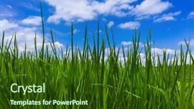  Presentation with sky - Colorful presentation theme enhanced with grass and cloudy sky - abstract backdrop and a  colored foreground