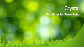  Presentation with grass - Cool new presentation design with grass and defocused green background backdrop and a tawny brown colored foreground
