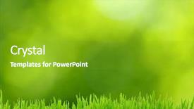  Presentation with grass texture on green - Cool new slides with grass and defocused green background backdrop and a shamrock green colored foreground