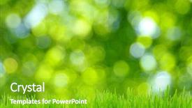 Presentation with grass - Cool new slide deck with grass and defocused green background backdrop and a  colored foreground