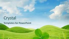  Presentation with four leaf clover - Beautiful presentation theme featuring grass and four-leaf clover backdrop and a light blue colored foreground