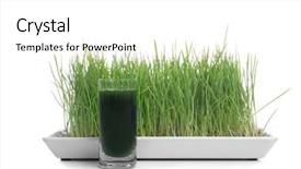  Presentation with healthy officebuilding - Colorful slide deck enhanced with grass and shot of healthy backdrop and a  colored foreground