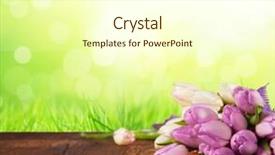  Presentation with pink green - Slide deck featuring bouquet of pink tulips background and a cream colored foreground