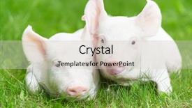  Presentation with breeding - Audience pleasing PPT theme consisting of spinning windmill backdrop and a light gray colored foreground.