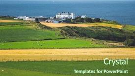  Presentation with cattle farm cattle animals - Slide deck enhanced with grass covered meadow the pasture background and a tawny brown colored foreground