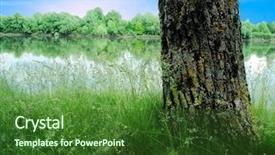  Presentation with tree river - Presentation theme having grass estuary - land with tree river background and a forest green colored foreground