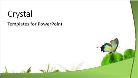  Presentation with country western spring - Theme featuring sun flower field - spring background background and a white colored foreground