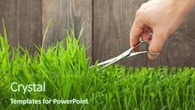  Presentation with fresh cut fruits vegetables - Beautiful presentation featuring grass for lawn with scissors backdrop and a forest green colored foreground