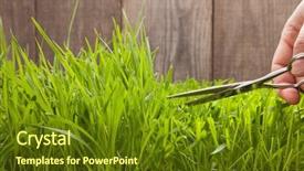  Presentation with fresh man chemistry - Slides enhanced with grass for lawn with scissors background and a tawny brown colored foreground