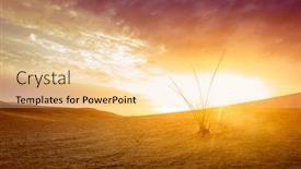  Presentation with growing - Colorful slide set enhanced with grass-growing-in-the-sand backdrop and a blonde colored foreground