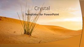  Presentation with growing - PPT layouts consisting of grass-growing-in-the-sand background and a lemonade colored foreground