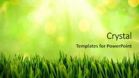  Presentation with glowing lights - Beautiful slide set featuring grass growing outdoors against field backdrop and a  colored foreground