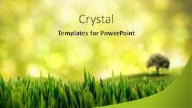  Presentation with glowing lights - Amazing presentation having grass growing outdoors against field against glowing lights backdrop and a blonde colored foreground