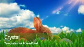  Presentation with scenic - Audience pleasing presentation consisting of grass growing outdoors against scenic view of blue sky backdrop and a forest green colored foreground