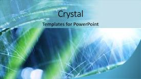  Presentation with rain forecasting - Amazing PPT layouts having grass in garden for rain backdrop and a  colored foreground