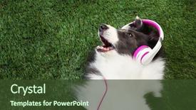  Presentation with music border - Cool new PPT layouts with grass listening to music backdrop and a tawny brown colored foreground