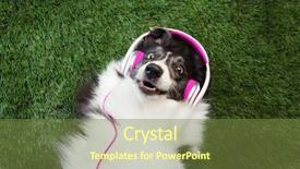  Presentation with listening - Amazing PPT theme having grass listening to music backdrop and a tawny brown colored foreground