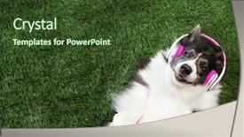  Presentation with music border - Beautiful PPT theme featuring grass listening to music backdrop and a tawny brown colored foreground