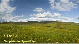  Presentation with subtle blue green - Audience pleasing theme consisting of grass meadow - green spring field and blue backdrop and a tawny brown colored foreground