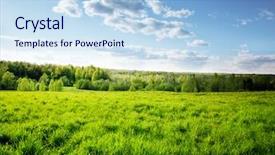  Presentation with forest beautiful spring nature - Slides featuring grass meadow - sunset in spring forest background and a light blue colored foreground