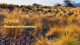  Presentation with soil formation - Beautiful theme featuring grass on volcanic soil backdrop and a tawny brown colored foreground