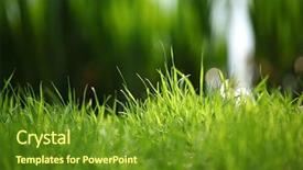  Presentation with sea water - Cool new slide set with grass on water backdrop and a tawny brown colored foreground