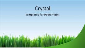  Presentation with banner blue - Presentation theme consisting of grass panorama on clear blue background and a light blue colored foreground