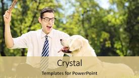  Presentation with dog park dogs plays - Theme enhanced with grass playing with labrador retriver background and a  colored foreground