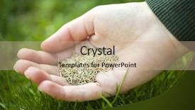  Presentation with soybean seed soy field seeding - Presentation theme featuring vomit - woman provoke vomiting by putting background and a lemonade colored foreground