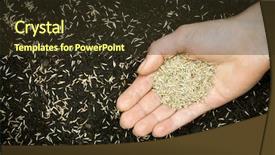  Presentation with seed - PPT theme enhanced with male in white shirt pump background and a light gray colored foreground.