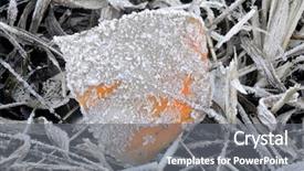  Presentation with neem leaf - Presentation featuring grass tan water - close up of a leaf background and a  colored foreground