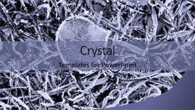  Presentation with leaf pathogen - Cool new slide deck with grass tan water - close up of a leaf backdrop and a  colored foreground