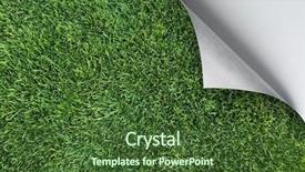  Presentation with corner - Presentation featuring grass under paper corner curl background and a tawny brown colored foreground