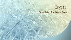  Presentation with winter scene - Slide set with grass-with-hoarfrost-winter-scene background and a cream colored foreground