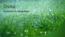  Presentation with liquid roof rain drops - Cool new slide deck with grass with rain drops watering backdrop and a mint green colored foreground