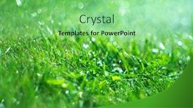  Presentation with rain - Slide deck enhanced with grass-with-rain-drops-watering background and a seafoam green colored foreground