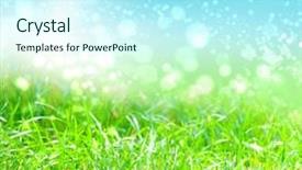  Presentation with water drops - Slides consisting of grass with water drops background and a cool aqua colored foreground