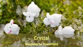  Presentation with sheep flock lambs standing - Colorful slide deck enhanced with grass with winter snow backdrop and a tawny brown colored foreground