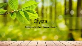  Presentation with wood - Beautiful slides featuring sun rays light brown - wood textured backgrounds backdrop and a gold colored foreground