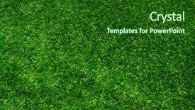  Presentation with grass - Slide set consisting of grasses - background of a green grass background and a forest green colored foreground