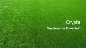  Presentation with green lawn - Beautiful theme featuring snail shell lodged in a tree branch backdrop and a light gray colored foreground